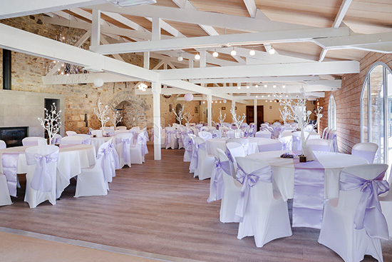 Animation mariage Domaine du Manoir de la Cour &agrave; Saint Maurice en Cotentin dj manche